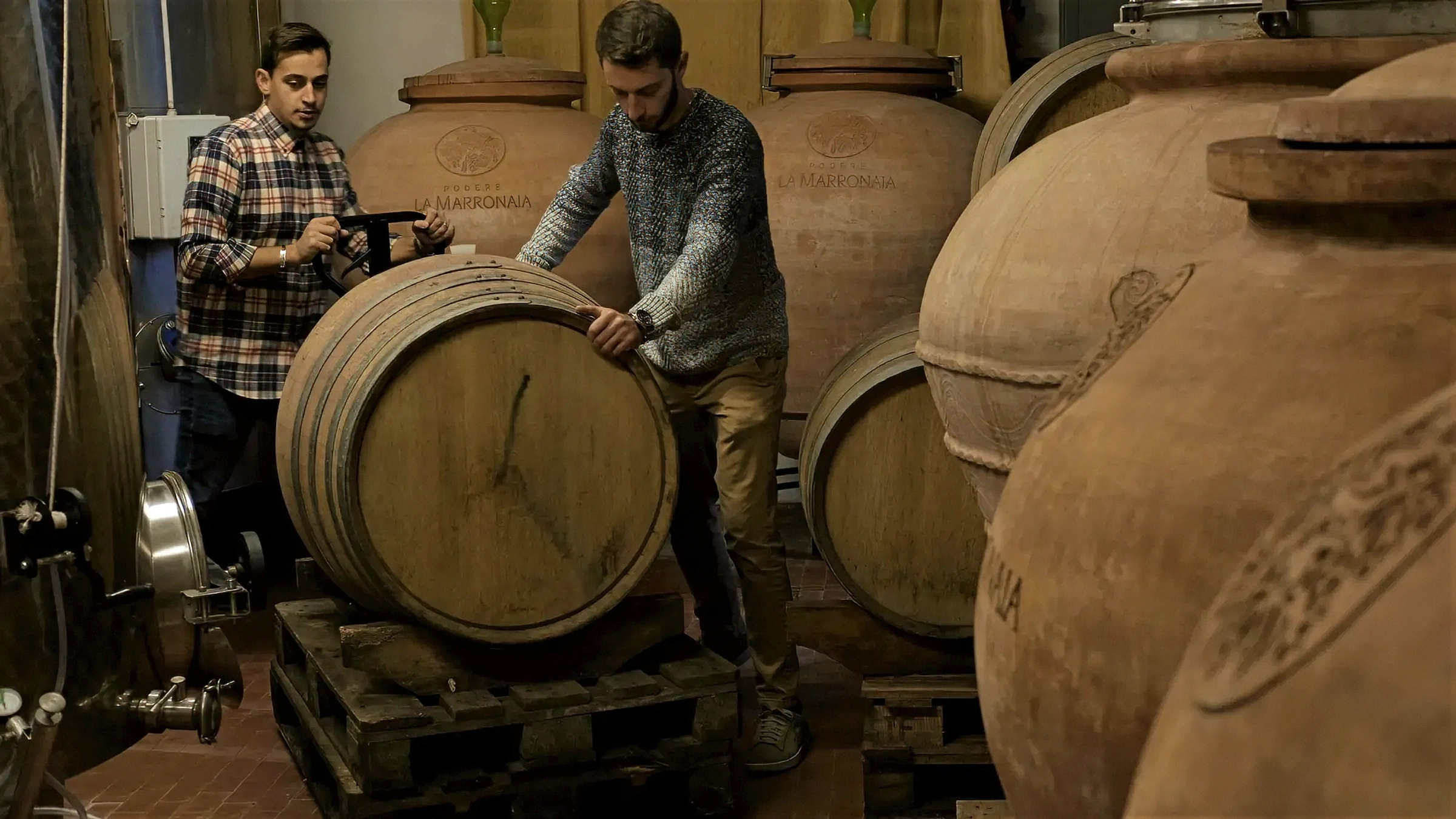 Sustainable viticulture