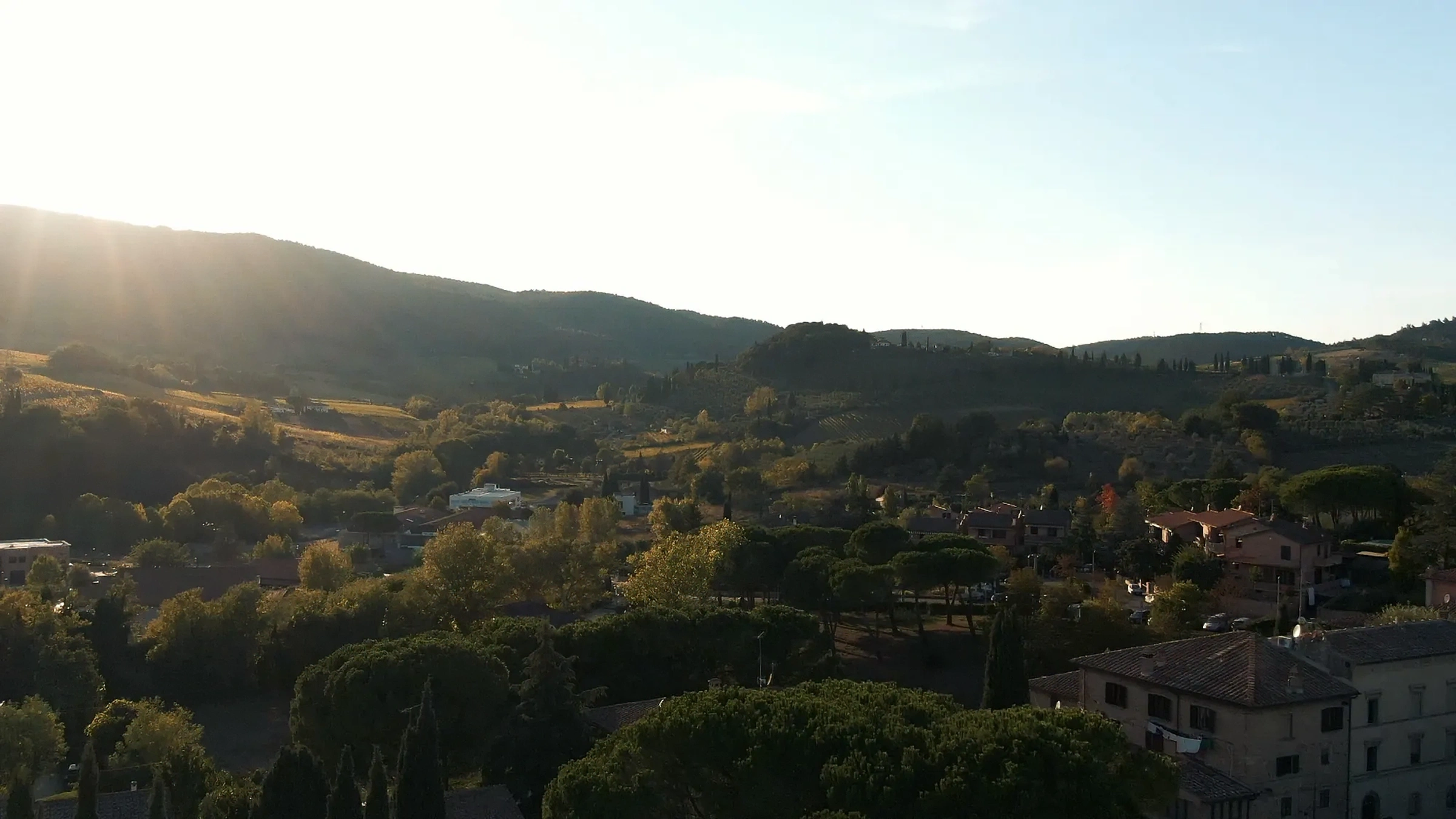 Organic certification excellence