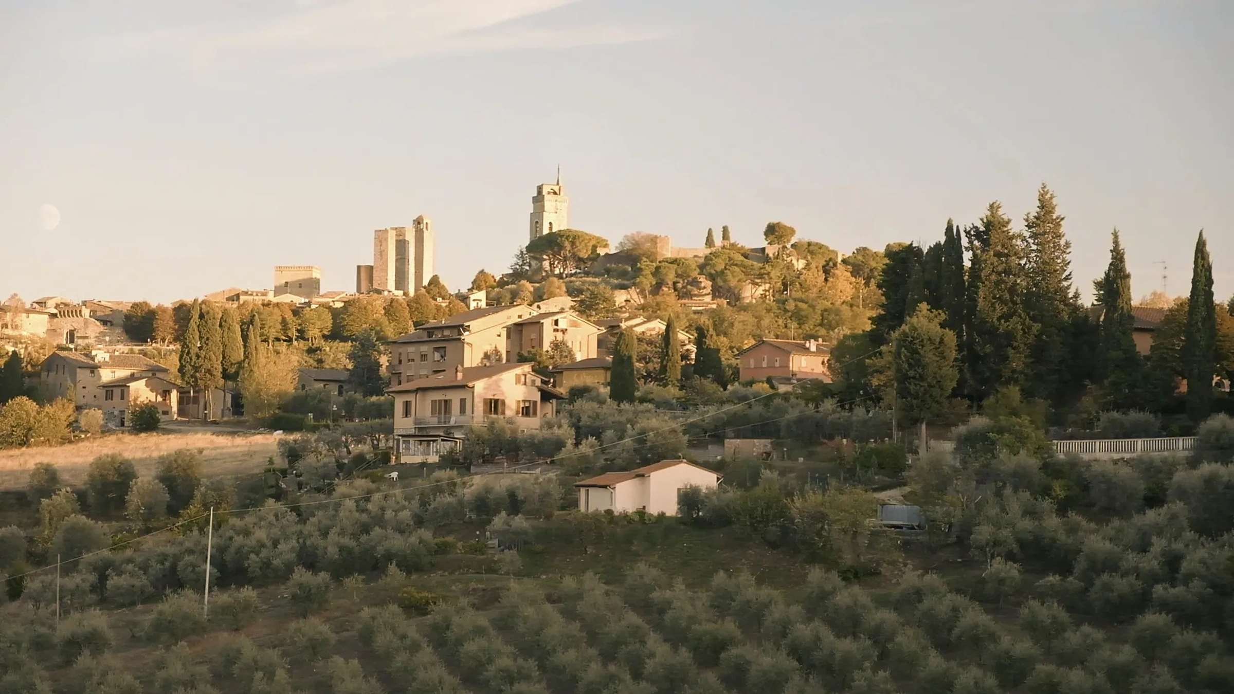 San Gimignano vineyard drone view