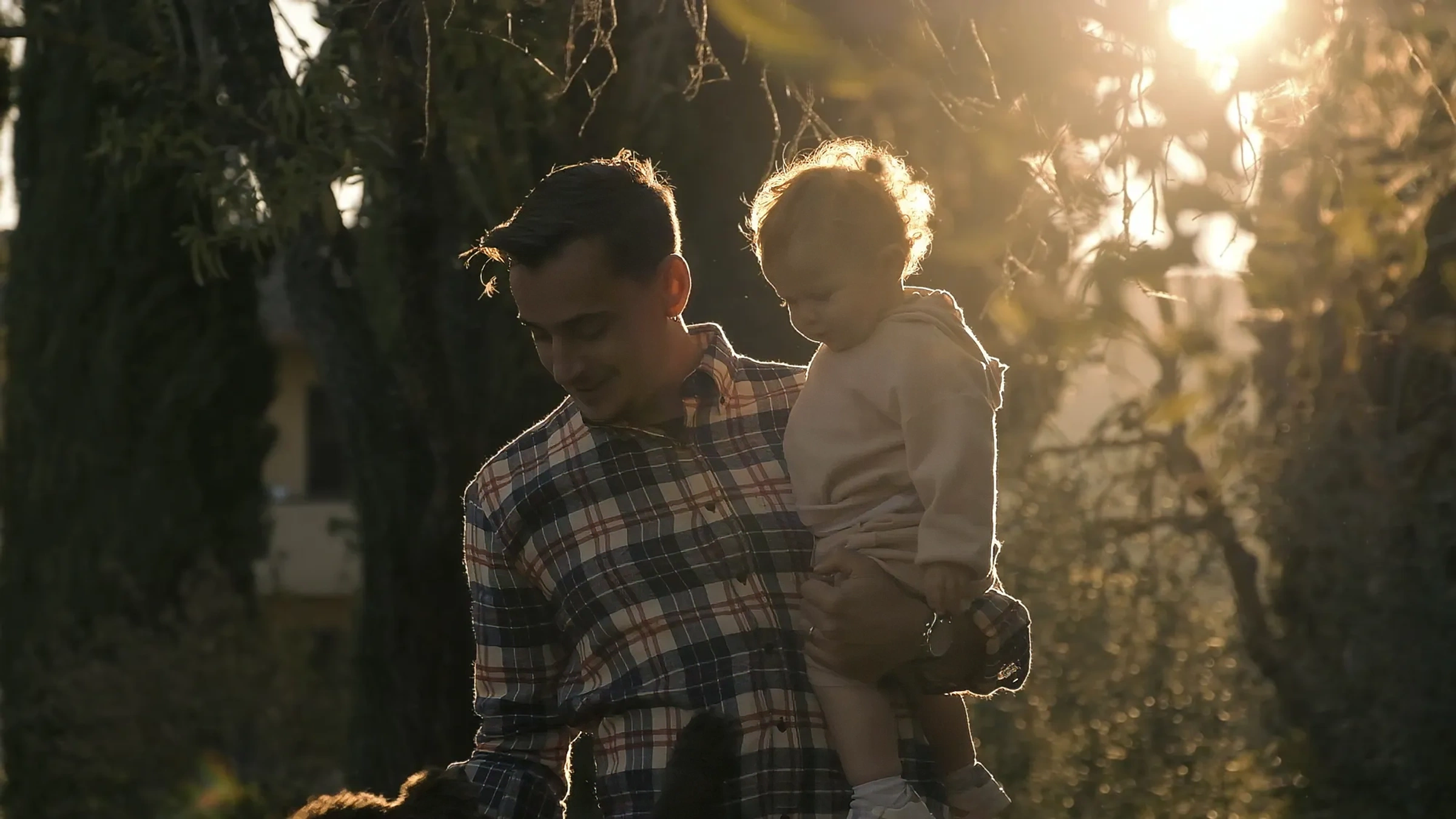 Organic wine production