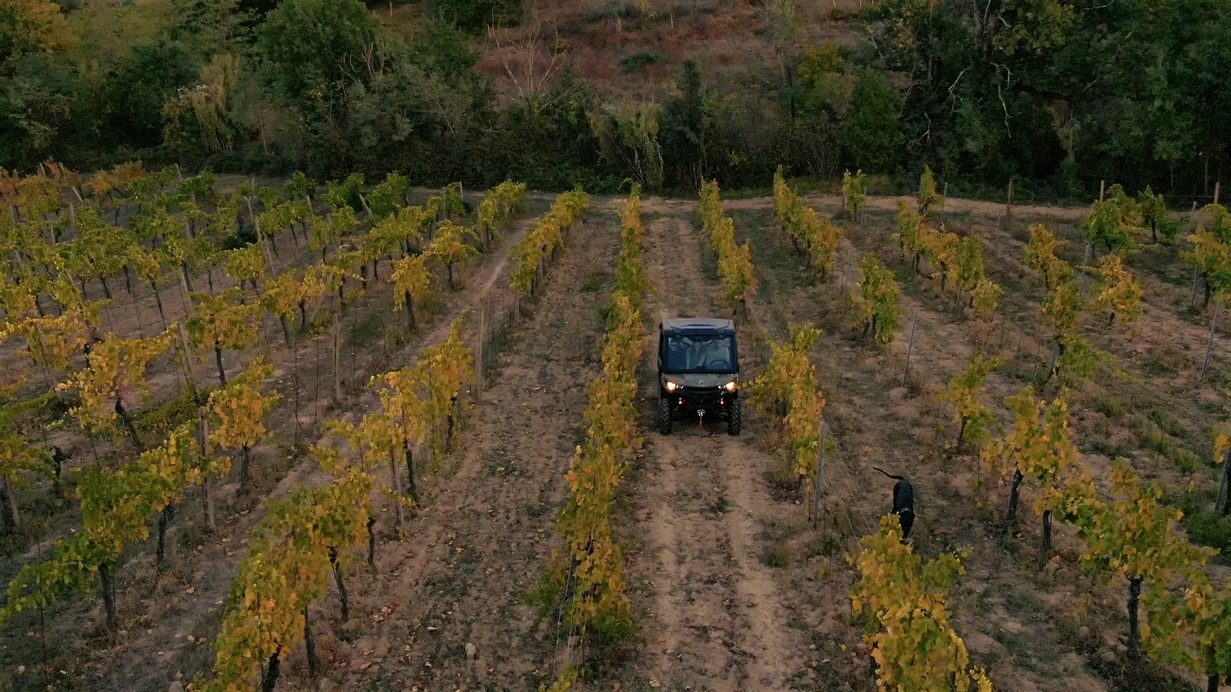 Winery estate grounds