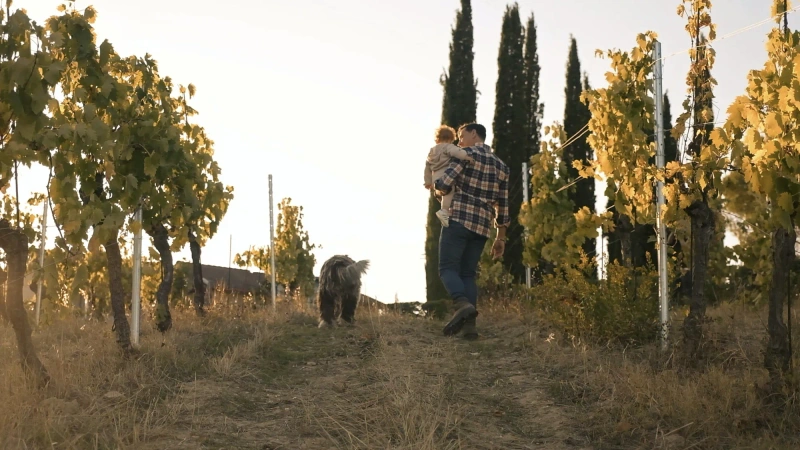 Podere La Marronaia - Organic Winery (2021)